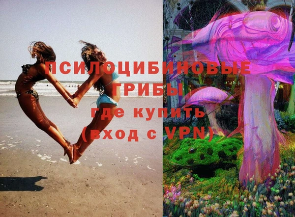 спиды Горнозаводск