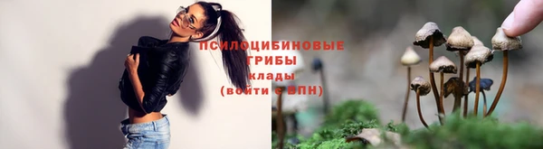 прущая мука Горняк