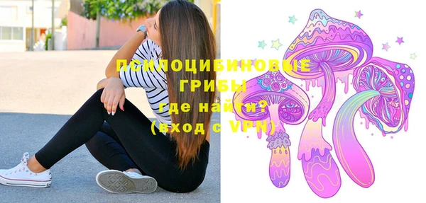 прущая мука Горняк