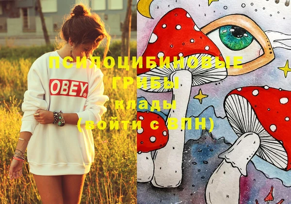 скорость mdpv Горно-Алтайск