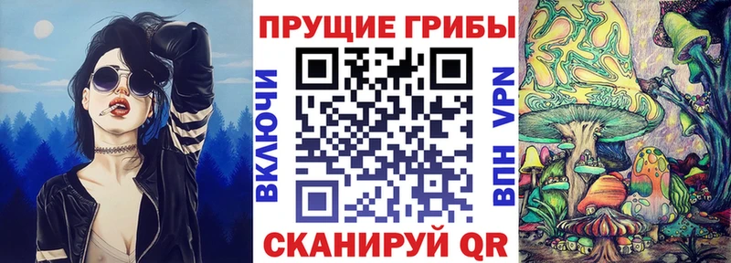 Псилоцибиновые грибы MAGIC MUSHROOMS Купить закладки Ачинск